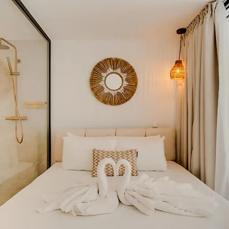 Antheo-nest * Larnaca