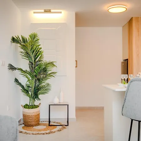 Antheo-nest * Larnaca